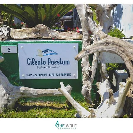 B&B Cilento เพสตุม ภายนอก รูปภาพ