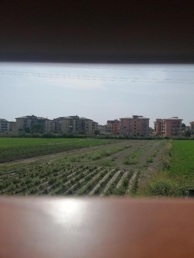 B&B Cilento เพสตุม ภายนอก รูปภาพ