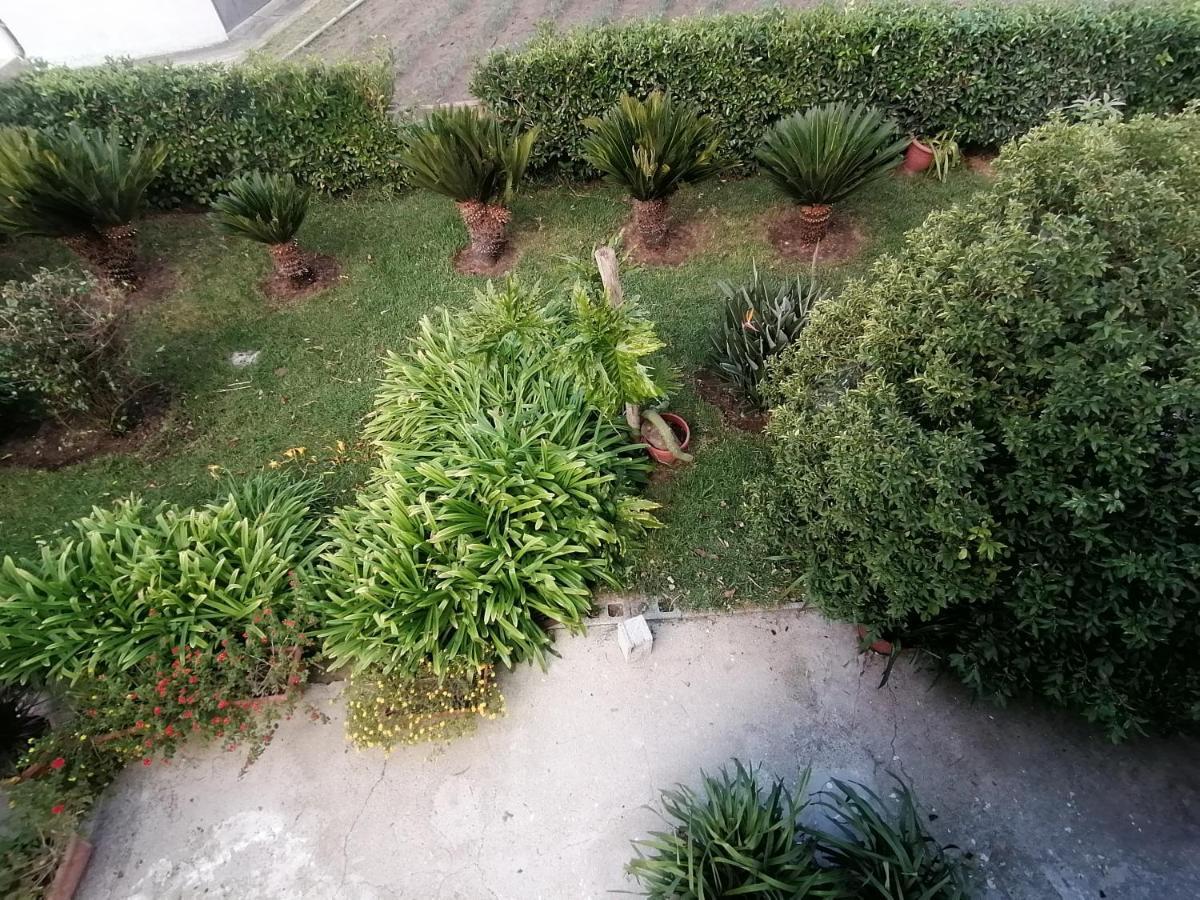 B&B Cilento เพสตุม ภายนอก รูปภาพ