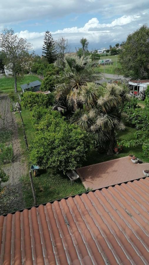 B&B Cilento เพสตุม ภายนอก รูปภาพ