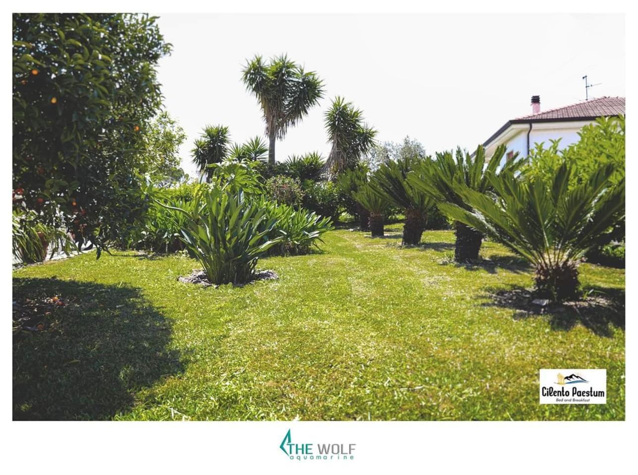 B&B Cilento เพสตุม ภายนอก รูปภาพ